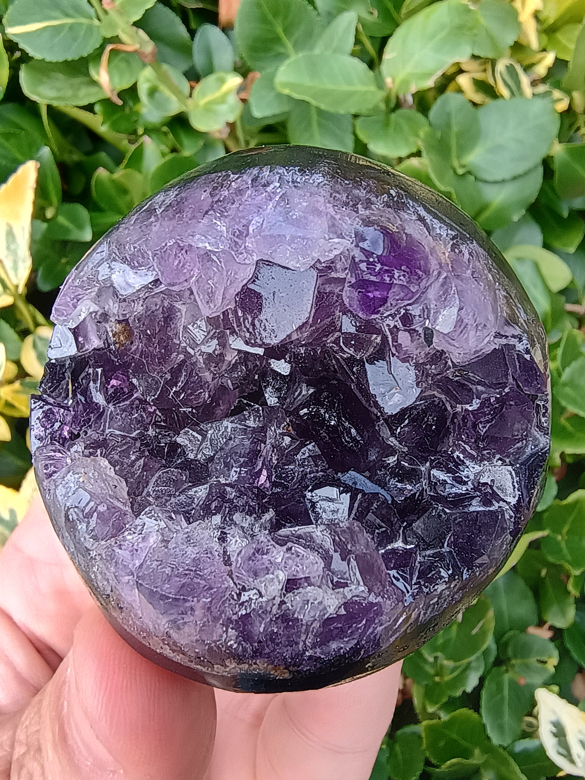 Amethyst Druzy Geode Sphere